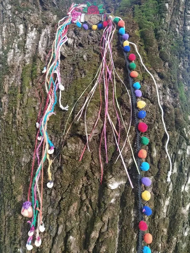 Dar la Lata